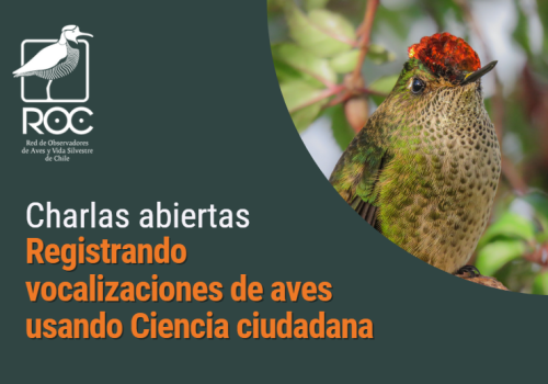 Organiza: Programa de Educación para la Conservación ROC.