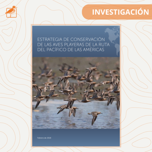 INVESTIGACION