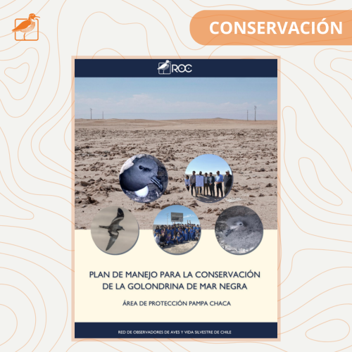 Imagen portadas biblioteca ROC (1)