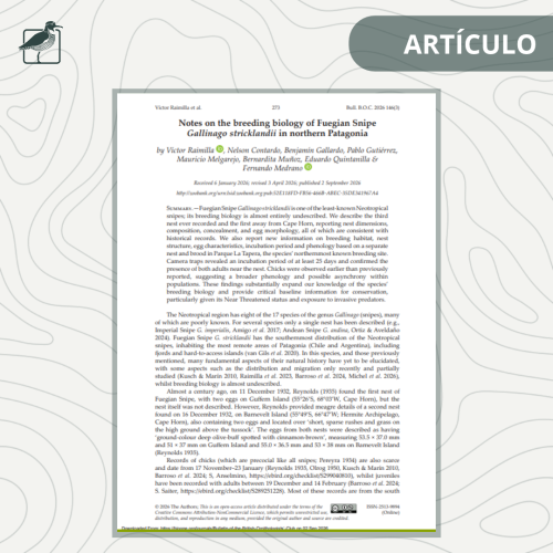 Imagen portadas biblioteca ROC (1)