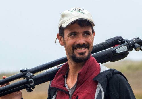 Ivo Tejeda - Director ejecutivo