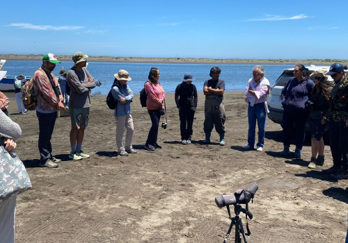 Jornada capacitación aves playeras Mataquito