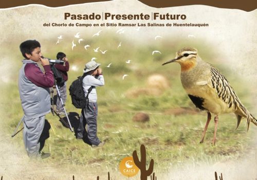 Jovenes investigadores_2