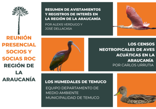La Araucanía