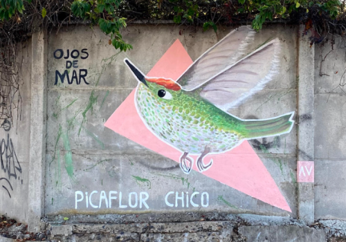 Mural picaflor chico