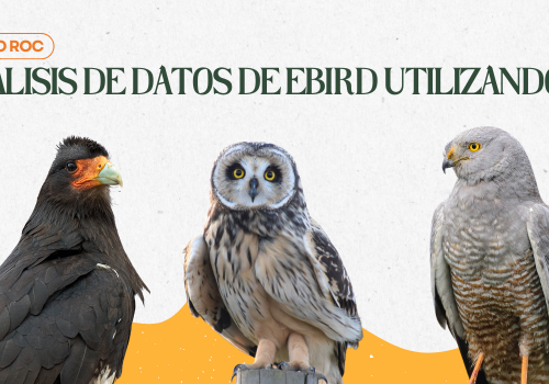 Nuevo Curso ROC