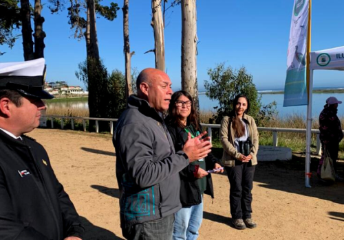 Pichilemu