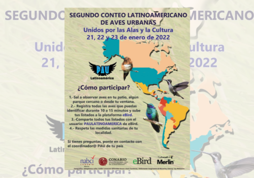 Portada PAU