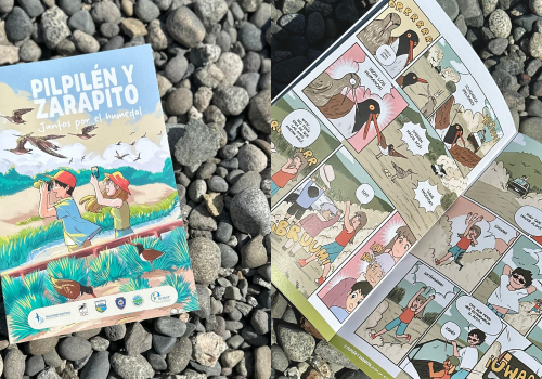 Portada de noticias web (1)