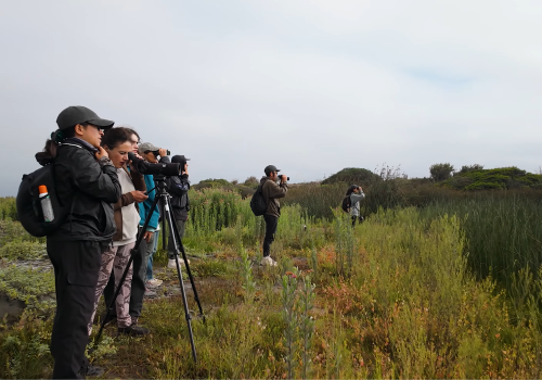 Portada de noticias web (10)