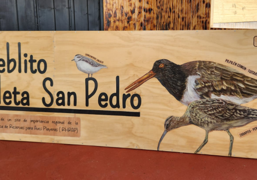 Portada de noticias web (11)