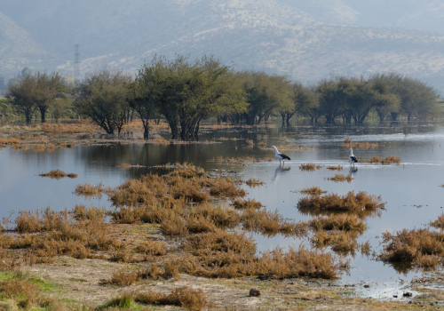 Portada de noticias web (13)