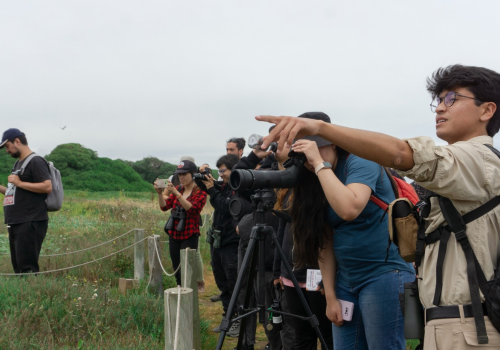Portada de noticias web (15)