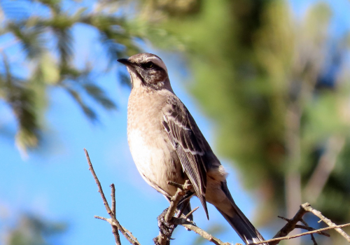 Portada de noticias web (16)