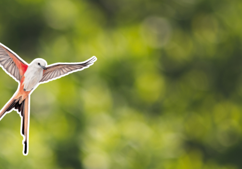 Portada de noticias web (2)