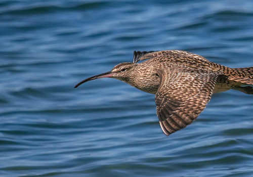 Portada de noticias web (2)