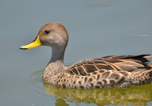 Portada de noticias web (2)