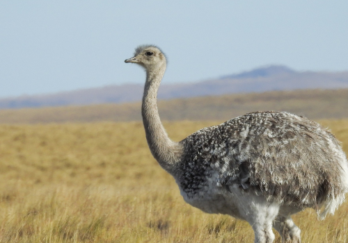 Portada de noticias web (22)