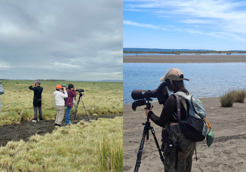 Portada de noticias web (29)