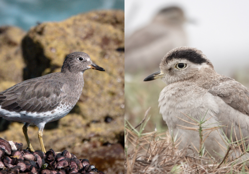 Portada de noticias web (32)