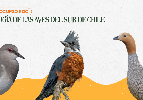 Portada de noticias web (37)