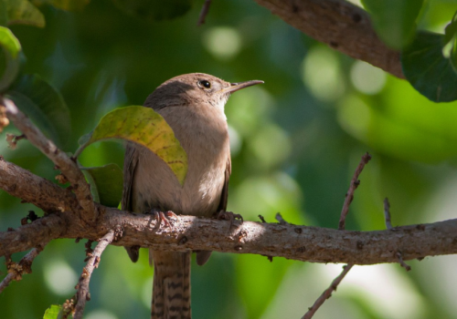 Portada de noticias web (4)