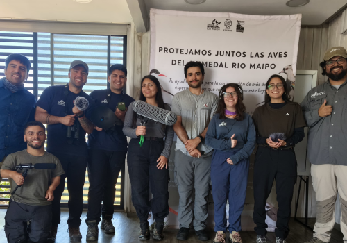 Portada de noticias web (44)