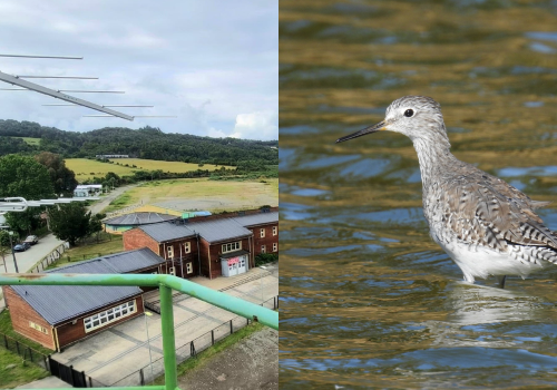 Portada de noticias web (5)