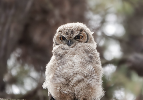 Portada de noticias web (6)