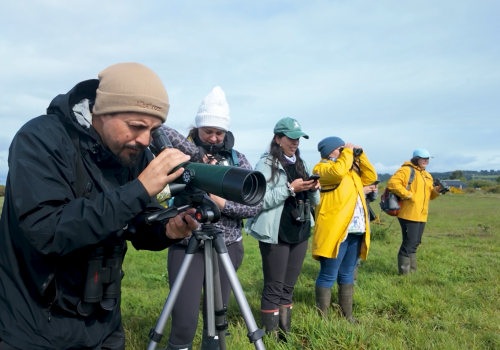 Portada de noticias web (8)