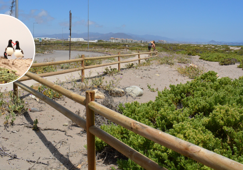 Portada de noticias web