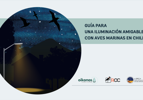 Portada guía