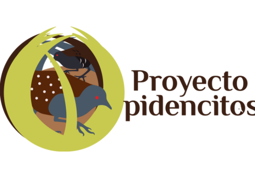 Proyecto Pidencitos