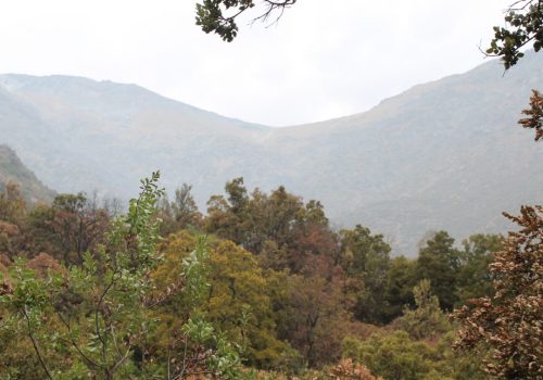 Qda_Macul_paisaje-01