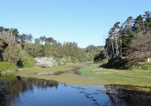 Qda_cordova_paisaje-01