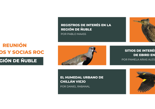 REU ROC ÑUBLE