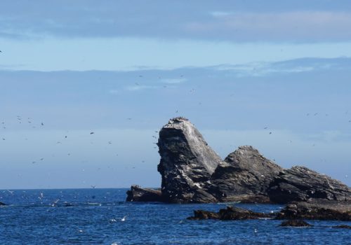 ROC-ANTOFAGASTA