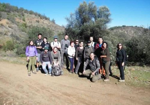 Recorriendo el Bosque Panul en la Florida