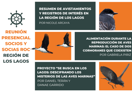 Reunión Los Lagos