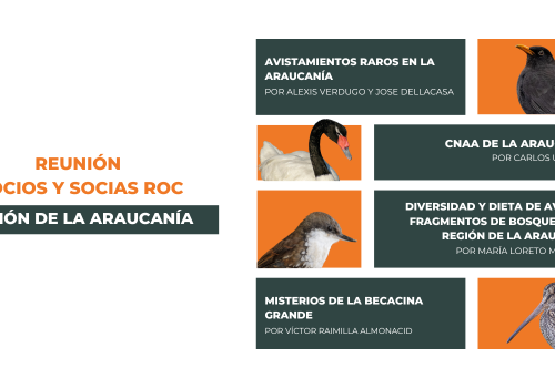 Reunión ROC Araucanía