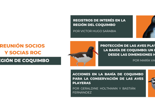 Reunión ROC Coquimbo