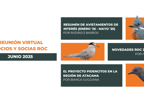 Reunión ROC Virtual junio 2025