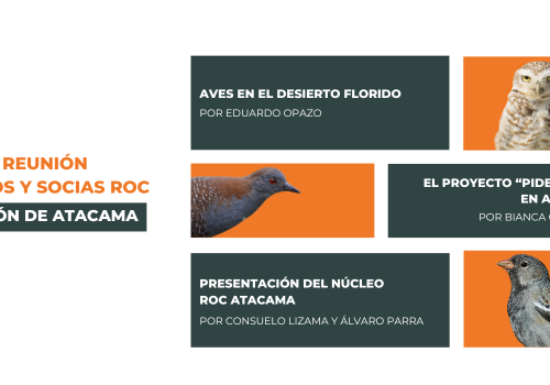 Reunión Socios y socias ROC Atacama