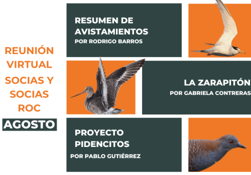 Reunion agosto