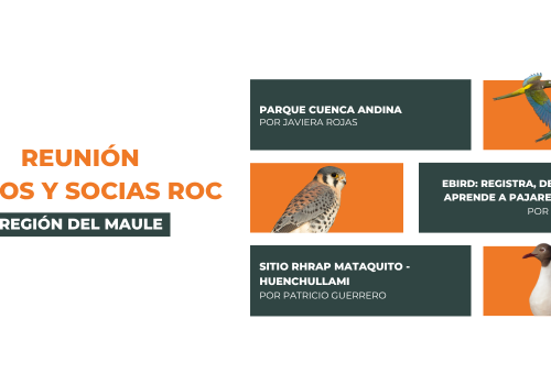 Reunión socios socias ROC MAULE