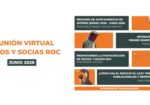 Reunión socios socias ROC
