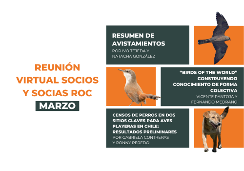 Reunion virtual marzo