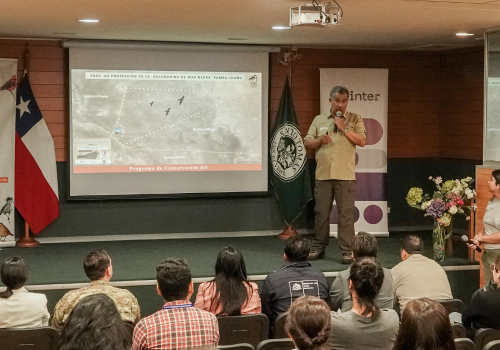 Ronny peredo - Participación en pampa chaca