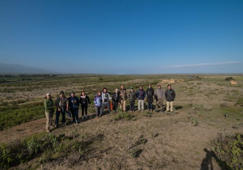 Salida-Chorlo-de-campo-2018