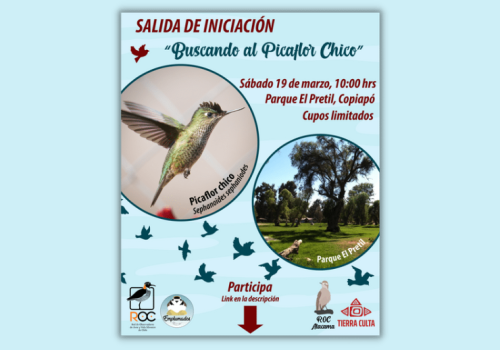 Salida Copiapó